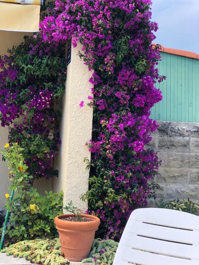 Villa C3 Arthur Rimbaub Chambre D'Hote Piscine Proche Mer Plage 600M Καν-συρ-Μερ Εξωτερικό φωτογραφία
